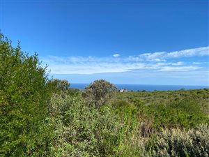 4315 m² Land available in Pezula Private Estate