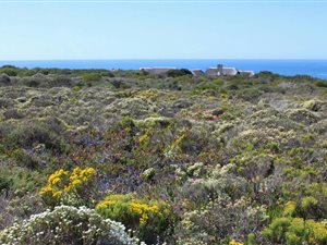 1998 m² Land available in Springerbaai Eco Estate