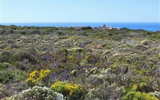 1998 m² Land available in Springerbaai Eco Estate