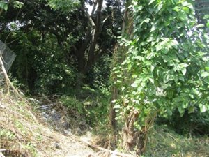 2912 m² Land available in Berea West