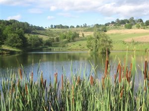 1545 m² Land available in Underberg