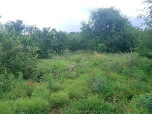 1480 m² Land available in The Ridge Estate