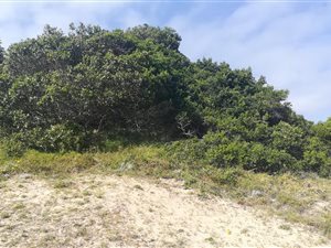 1151 m² Land available in Seaview
