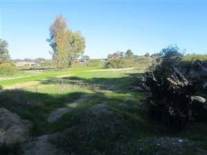 2820 m² Commercial space in Hopefield