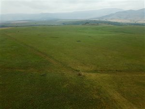 1472.8 ha Farm in Newcastle Central