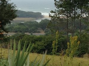 1716 m² Land available in Palm Beach