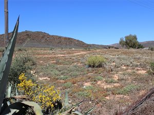 3597 m² Land available in Uniondale
