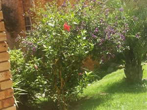 3 Bed Apartment in Robin Hills