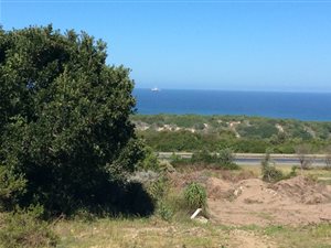 1298 m² Land available in Groot Brakrivier