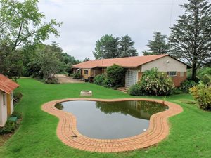 8.6 ha Farm in Elandsfontein AH