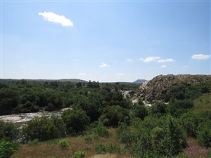 27.2 ha Farm in Vlakfontein