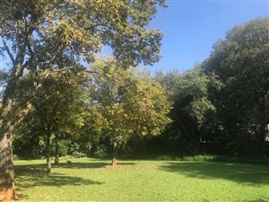 1872 m² Land available in Saxonwold