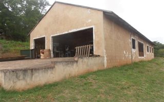 2.6 ha Farm in Peacevale