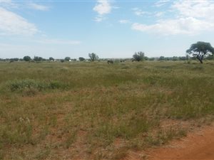 8287 m² Land available in Kimberley