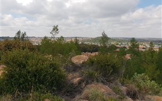 2.3 ha Land available in Zwavelpoort
