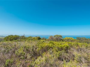 3.3 ha Land available in Hansmoeskraal