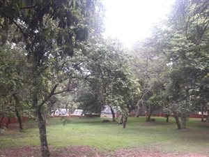 2120 m² Land available in Louis Trichardt