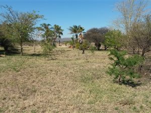 10.9 ha Land available in Bon Accord