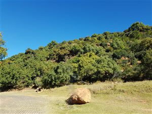 1569 m² Land available in Heidelberg Kloof Estate