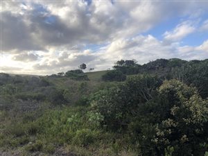 1013 m² Land available in Cannon Rocks