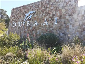 1099 m² Land available in Oubaai and surrounds