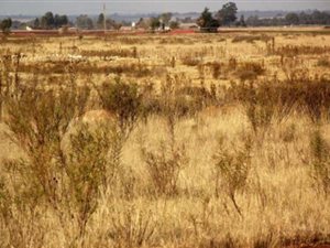 21 ha Land available in Magaliesburg
