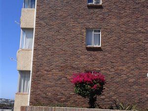1 Bed Apartment in Port Elizabeth Central