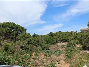 1855 m² Land available in West Bank