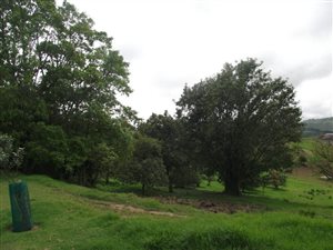 1428 m² Land available in Bothas Hill