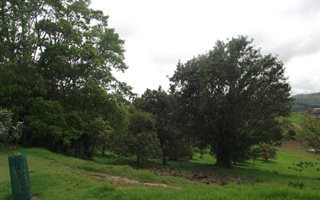 1428 m² Land available in Bothas Hill