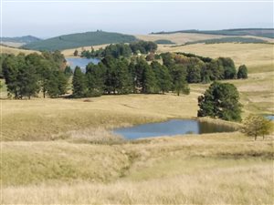3120 m² Land available in Howick