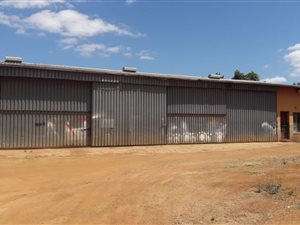1000 m² Industrial space in Louis Trichardt