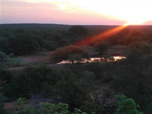 Game Farm in Alldays