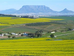 183 ha Farm in Durbanville Central