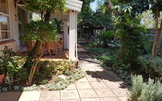 3 Bedroom House in Geelhoutpark