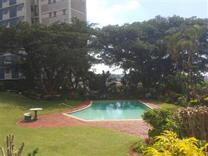 2 Bedroom Apartment in Musgrave