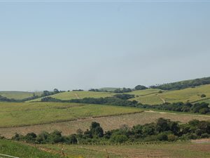 358 ha Farm in Tongaat Central