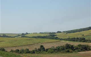 358 ha Farm in Tongaat Central