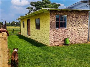 2 ha Farm in Houtkop AH