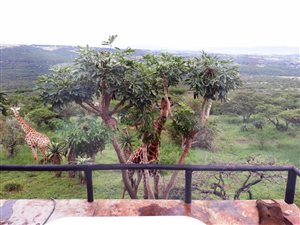 136 ha Farm in Ashburton
