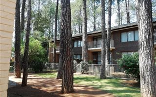 2 Bedroom Apartment in Lynnwood Glen
