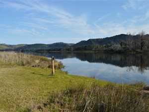 4.8 ha Farm in Knysna Central