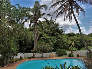 5 Bed House in Arboretum