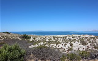 505 m² Land available in Shelley Point