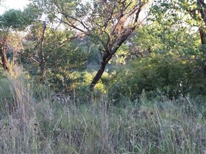 2 ha Land available in Klipplaatdrif