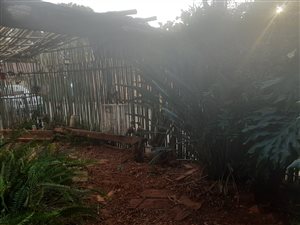 3 Bed House in Hesteapark