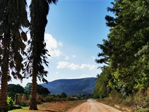1 ha Farm in Kirkwood