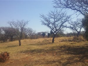 8566 m² Farm in Amandasig
