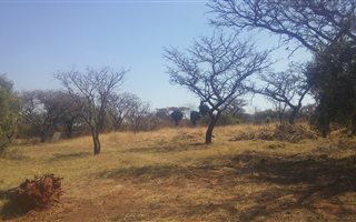 8566 m² Farm in Amandasig