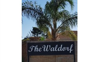 1 Bedroom Apartment in Ravenswood